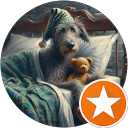 Valeria F. profile picture